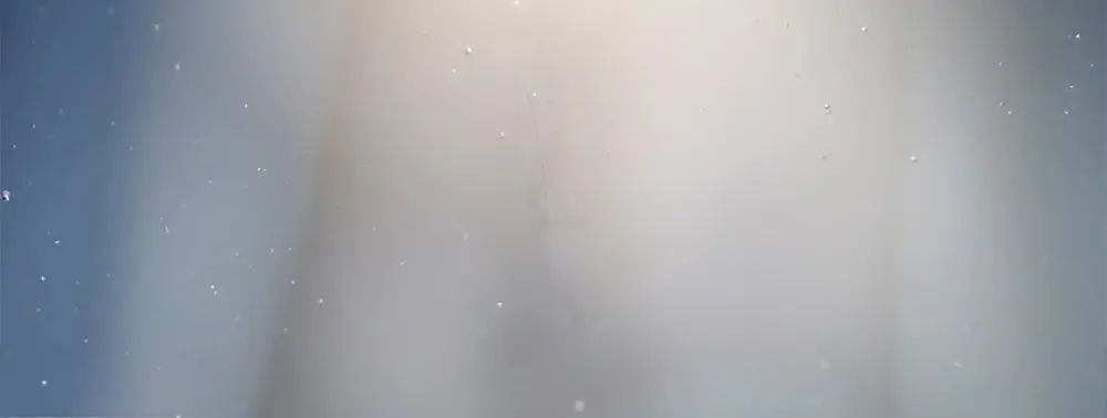 Windscreen chip after resin repair